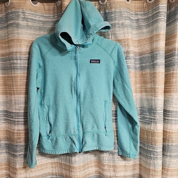 Patagonia Jackets & Blazers - Patagonia® Worn Wear W's Emmilen Hoody In Light Blue